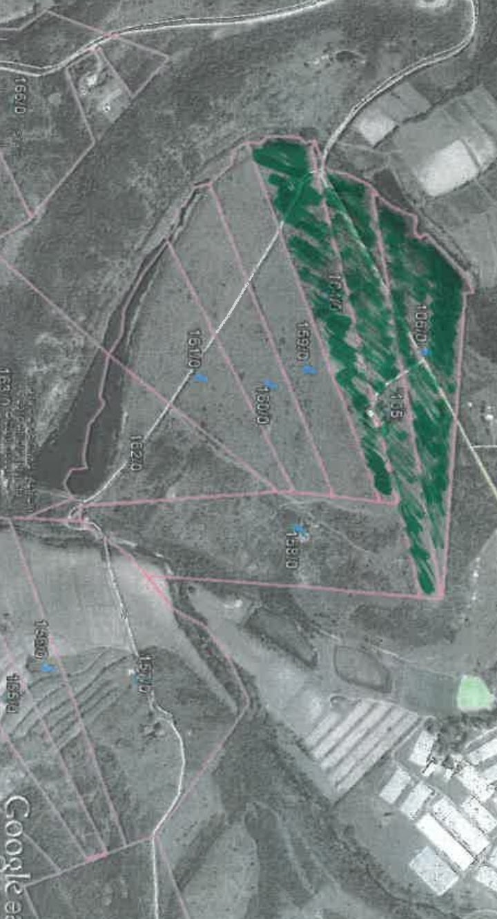 Commercial Property for Sale in Komga Rural Eastern Cape